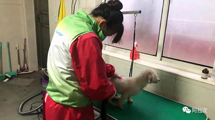 1616654238618022.jpg wx微信圖片_20210325141940.jpg