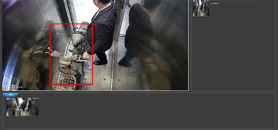 1715077308969549.jpg 9瀏覽器(IE11及以上版本)可直接查看預覽視頻和抓拍圖像w.jpg