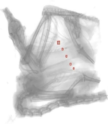 1717151391112618.jpg 2ww.jpg