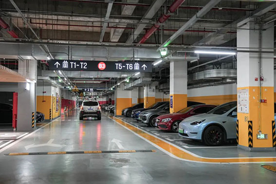 1718368165661914.jpg 1w.jpg