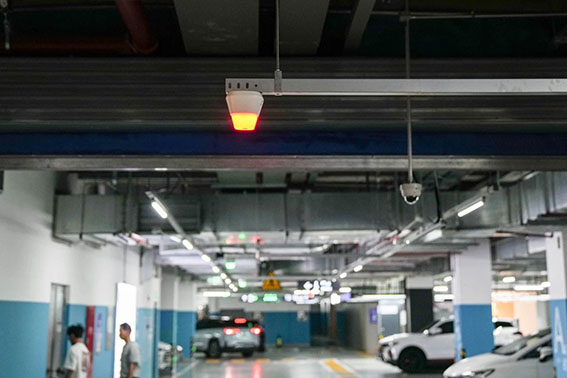 1718368427140705.jpg 8w.jpg