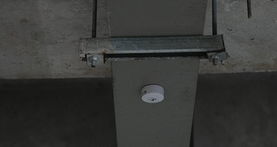 1718368435132645.jpg 9w.jpg