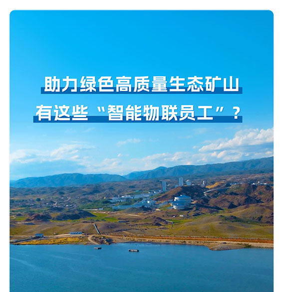 1718369519862787.jpg 6w.jpg