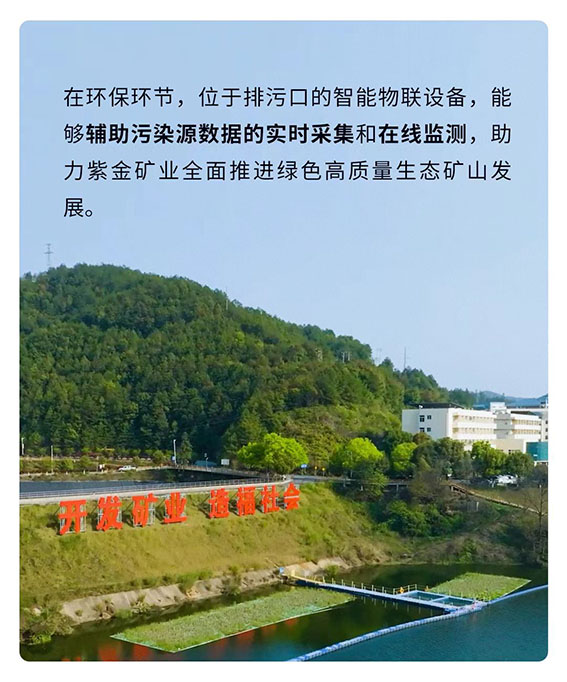 1718369528590353.jpg 6-1w.jpg