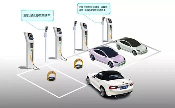 1721293267655933.jpg 4w.jpg