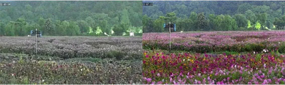 1723541451130214.jpg 微信圖片_20240813172342w.jpg