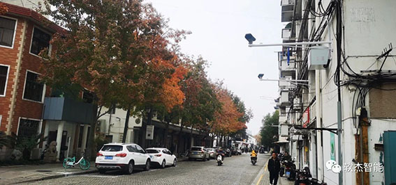 1724925905109920.jpg 3w.jpg