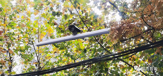 1724925948396408.jpg 4w.jpg